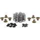 Kibblewhite Beehive Spring Kit - 0.640" Lift - H.T. Steel - M8 | CVO - 0926-3458  20-24400